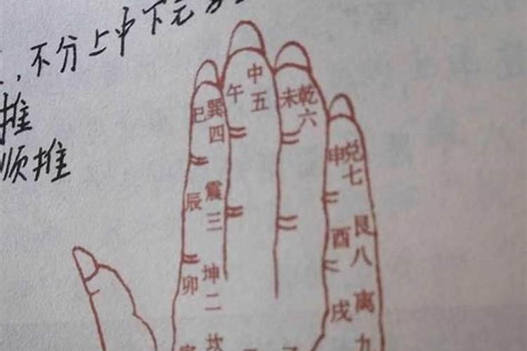 81年属鸡男人在2025年的全年运势