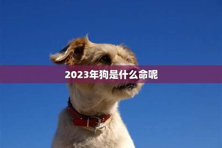 86年属虎女佩戴什么好1986年属虎的女人佩戴什么首饰可带来好运百度知 ...