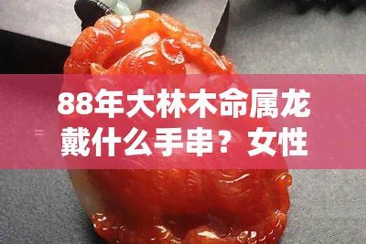 十二生肖中阴险小人的有哪些动物