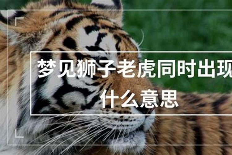 怎么看八字月令强弱？月支十神当令那个