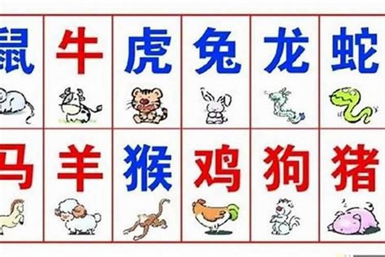 1996年2月17日出生的人 应该属鼠还是属猪