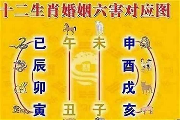 七月六日是什么日子.