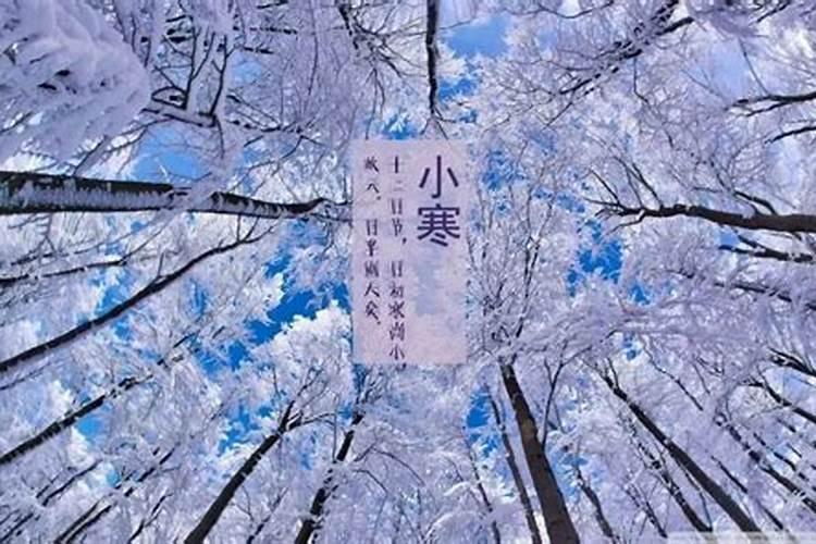 梦到重新回学校上学预示着什么？