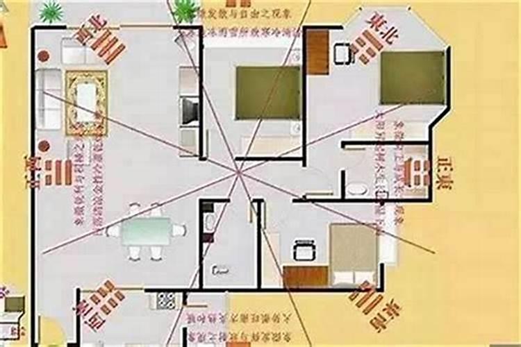 梦见苜蓿绿绿的预兆