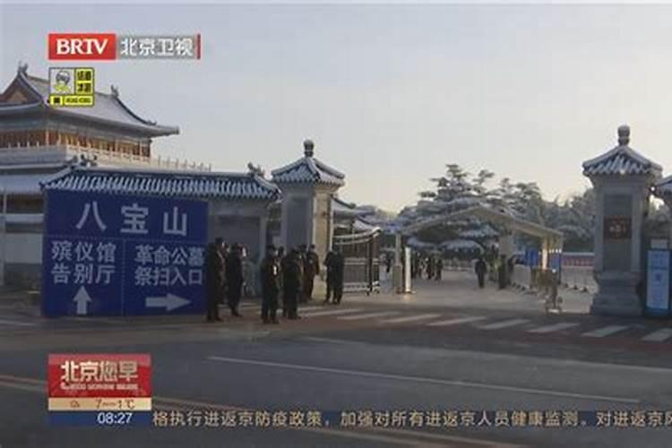 2025跟太岁犯冲的属相