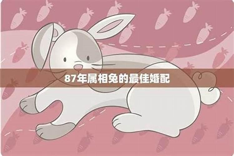 80年属猴女在2025年每月运势