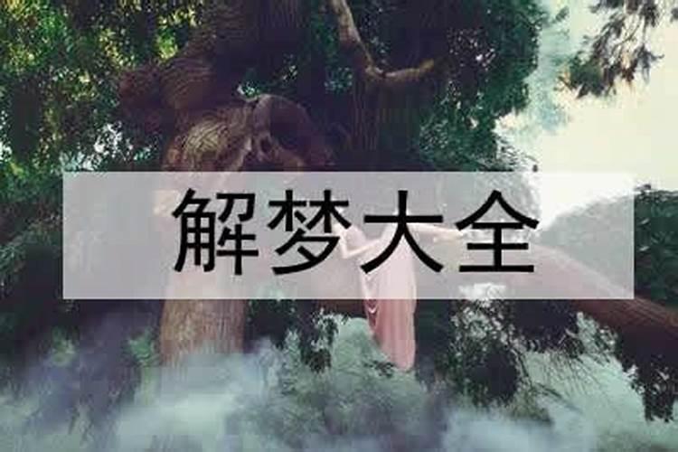 梦见外婆死了自己哭的很伤心的预兆