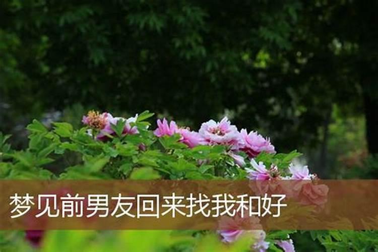 梦见前男友搭救我的预兆