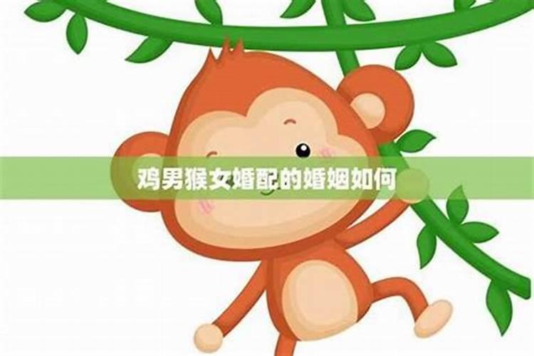 1984属鼠2025每月财运
