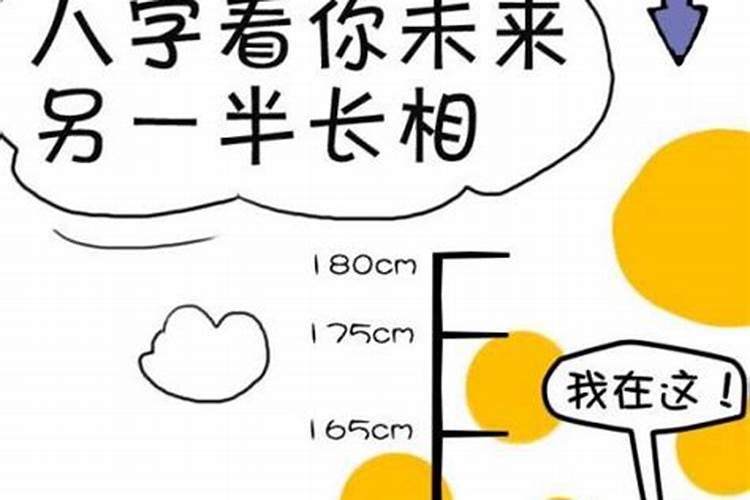 处暑、秋分、白露、寒露是指什么？