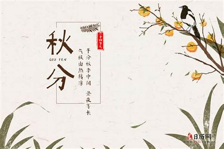 冲太岁属狗的怎么化解2024年
