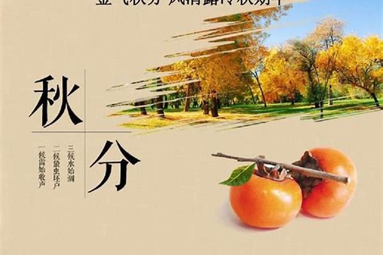 67年属羊男2025年运势及运程