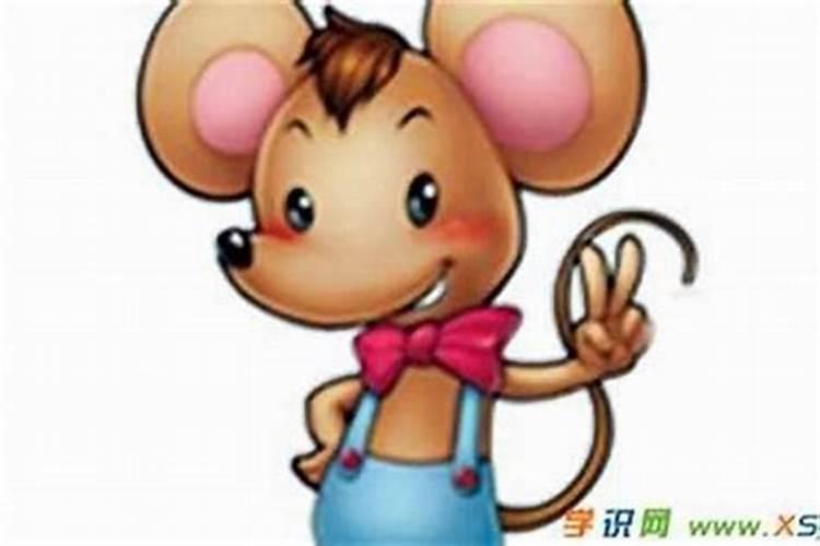 女孩属鼠最佳配偶属相