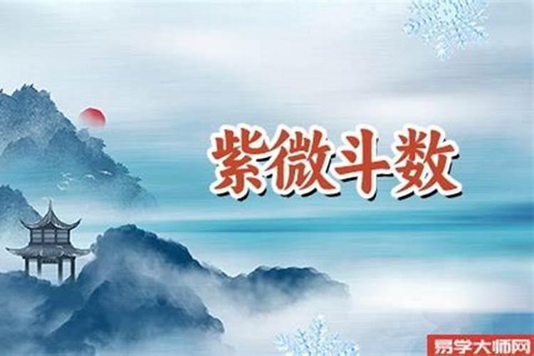 紫微命盘化忌星在福德宫详解,福德宫生年化忌好吗