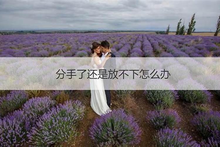 和情人分手后,每天都梦到他,这说明什么意思？