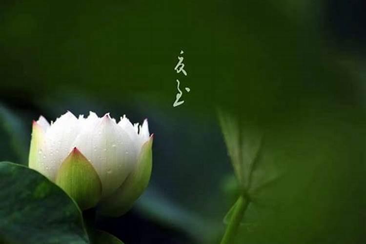 结婚还需要找算命的看日子吗