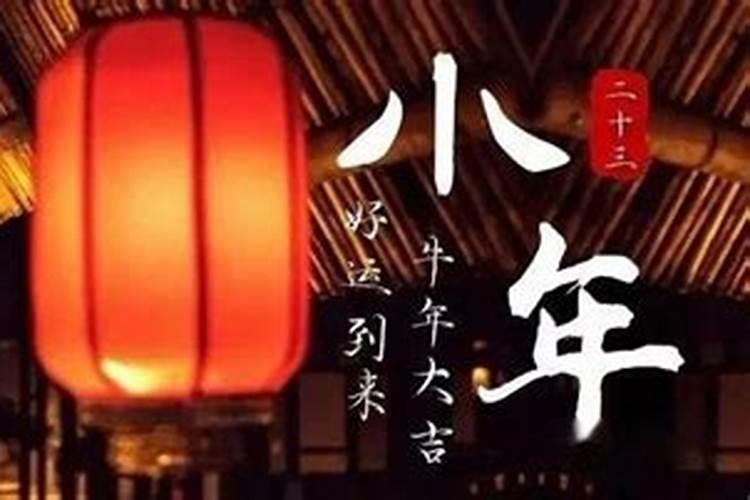 马蹄金烧纸的用途