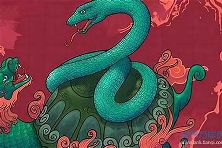 鸡年哪些属相好