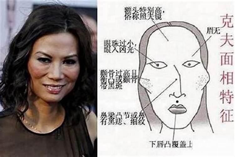 2025年12生肖幸运颜色对照表