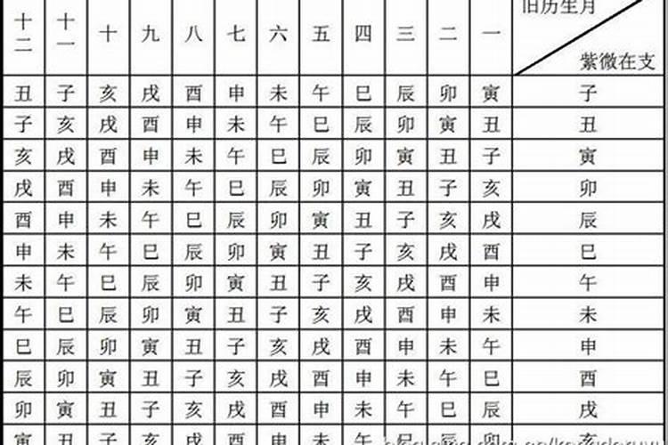 八字胎元与命宫