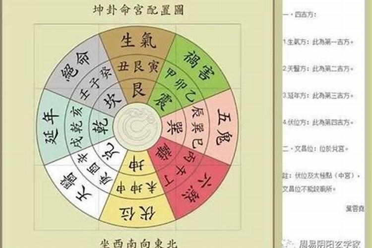 胎元是丙寅前世是什么,四柱命理学习命宫？