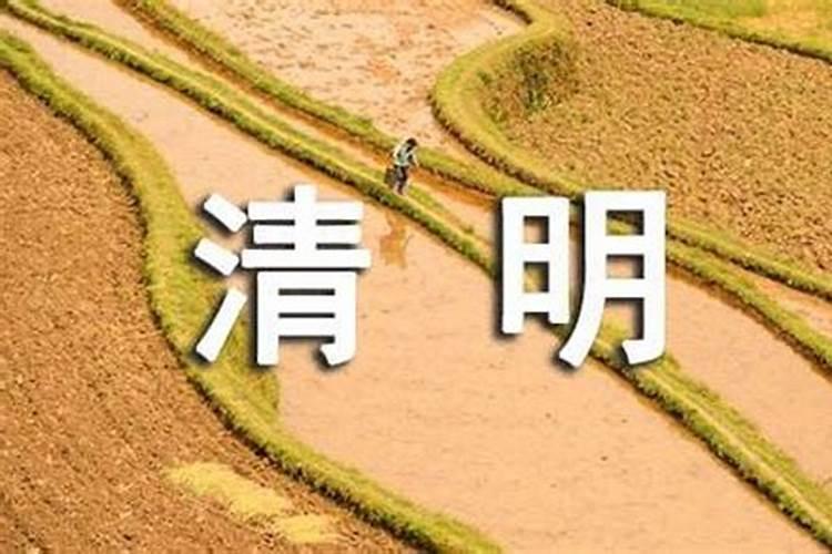 正月十五为什么不能包饺子
