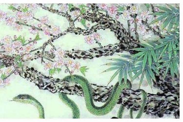 梦见把蛇杀掉的预兆