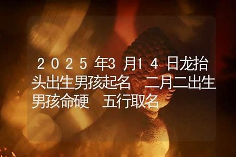 农历二月二出生的龙宝宝