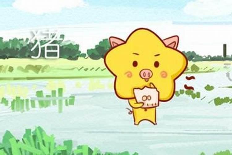 属猪与属兔女是否合婚 属猪和属兔女的合不合