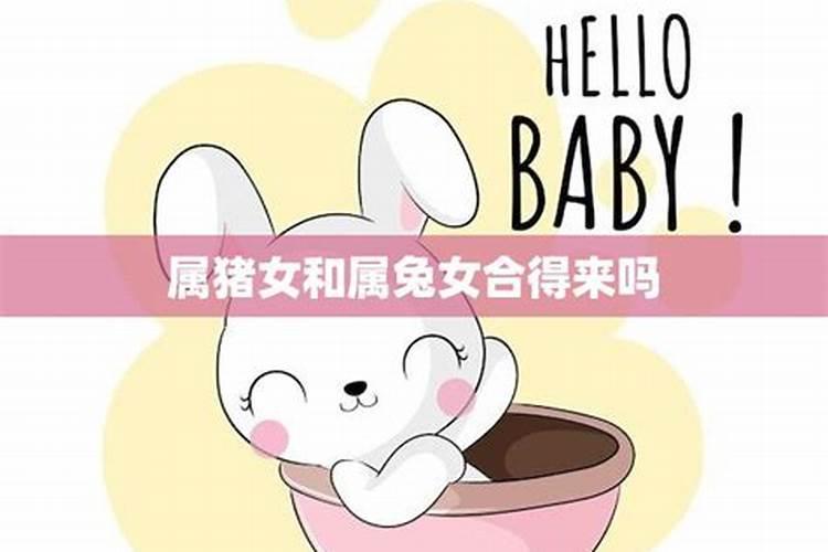 八字合婚:属兔和属猪的合财吗 婚配好不好呢
