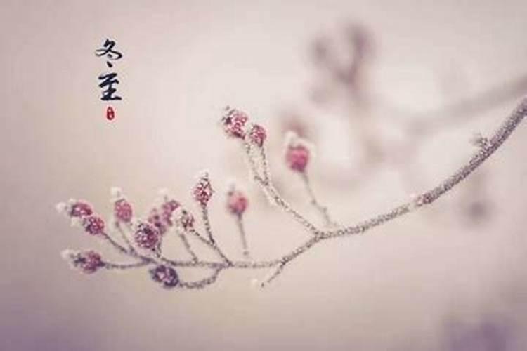 67年属羊人2025年全年运势详解
