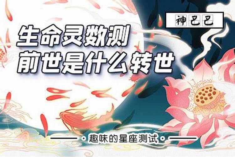 啥是生命灵数？