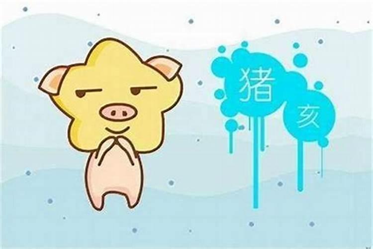 71年属猪男2025年运势