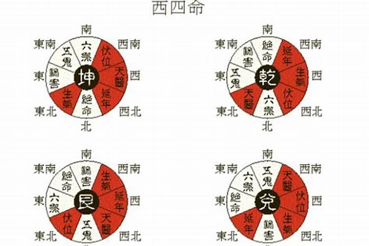 西四命和东四命怎么分辨？