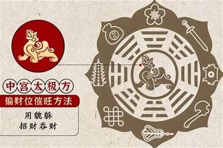 1981年5月25日生男今年运势如何