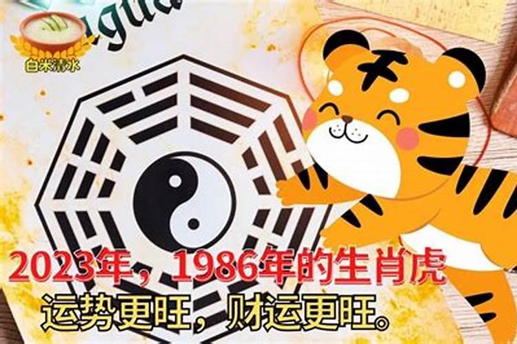 1986年属虎女人晚年运势 赚钱容易守财难？