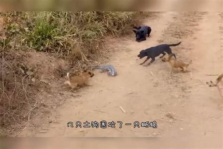 打胎后怎么给孩子超度