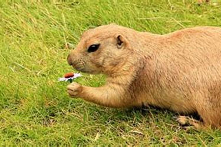 头七怎么能看到鬼魂