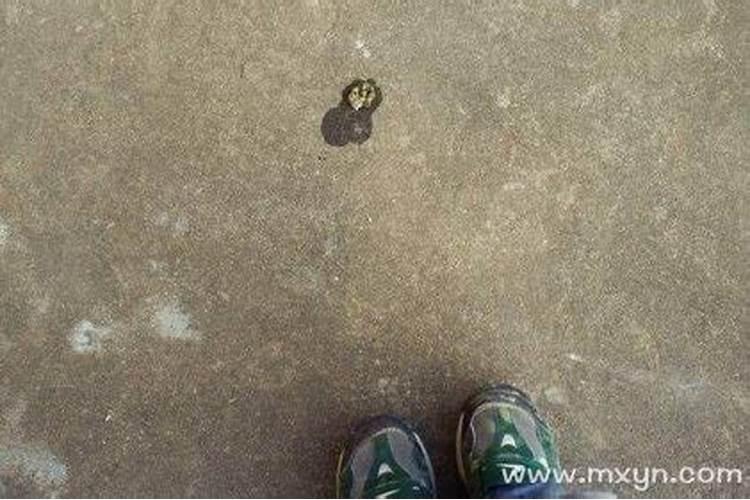 梦见很大的鱼是什么意思？