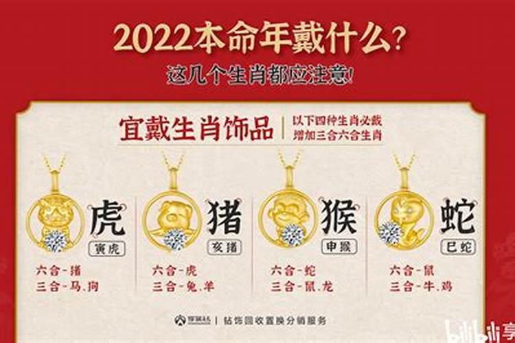本命年蛇年要注意什么佩戴什么
