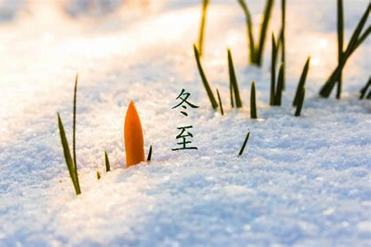 梦见前妻一家