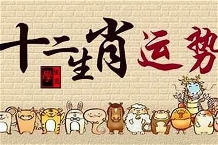 表里不一人后嫌,油头滑脑小人心的动物是什么生肖