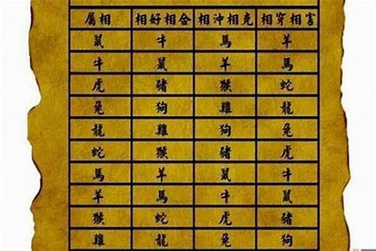 1994年狗婚配哪个属相最好