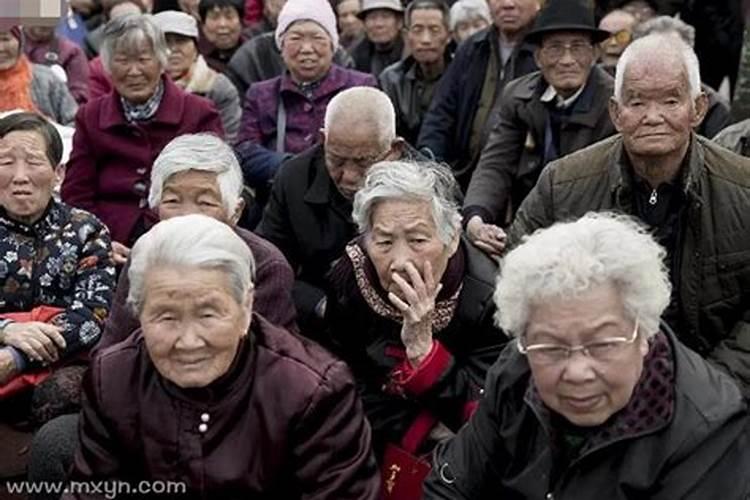 1984年阳历10月24日,农历10月1日2时15分出生,女孩,五行是什么？缺什么...