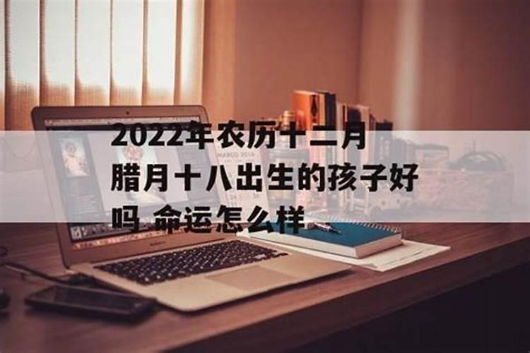 丑牛2025年的运势