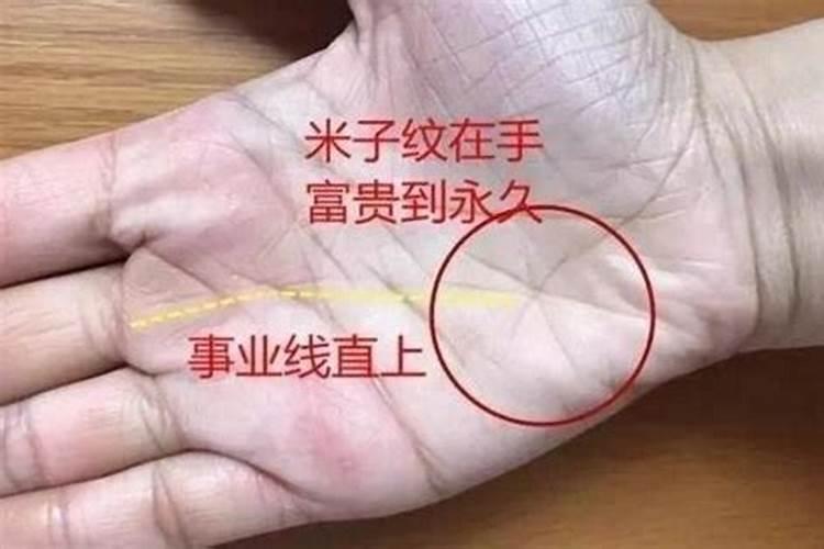 天生4个带财库的生肖