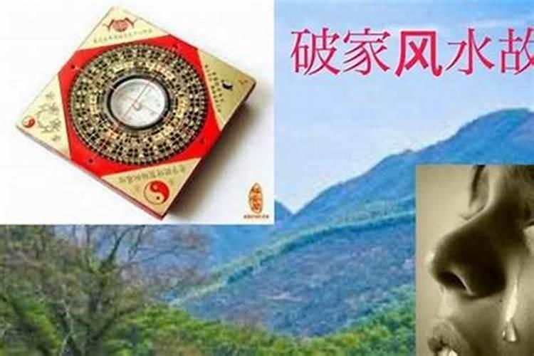 96年女孩正月初二属鼠的命运好吗