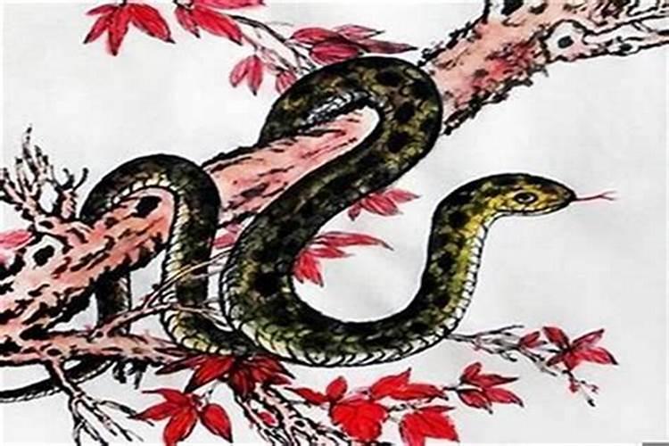 93年属鸡男和86年属虎女在一起可以吗？