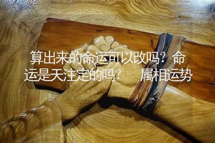 属鸡6月份运势2025