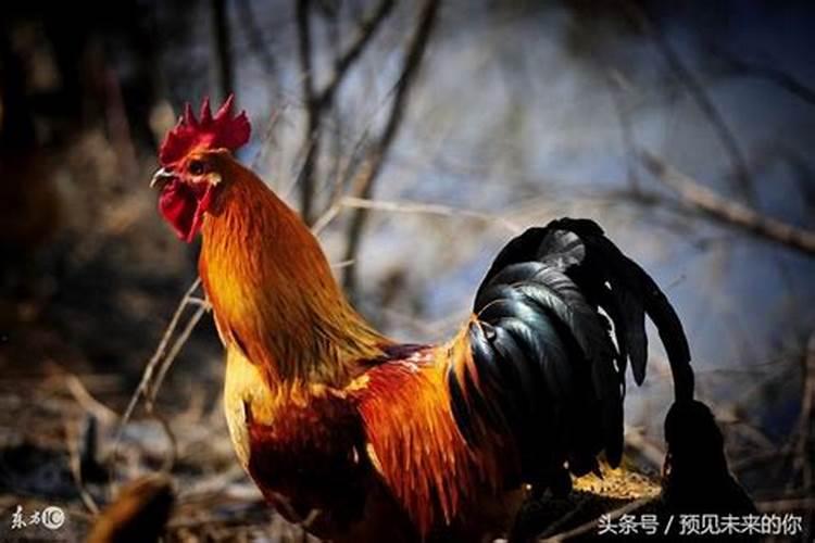 十月初一可以添坟吗
